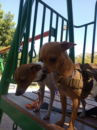 San Antonio del Maurel Park - Thumbnail