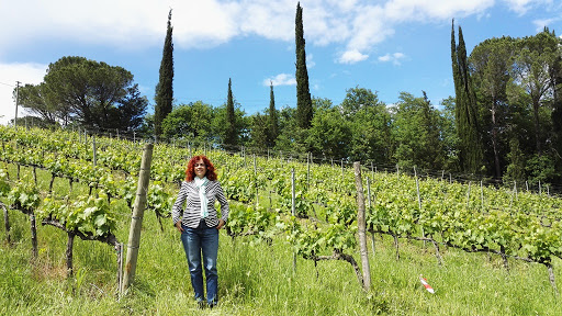 Guida Turistica Serena Ricci - Thumbnail