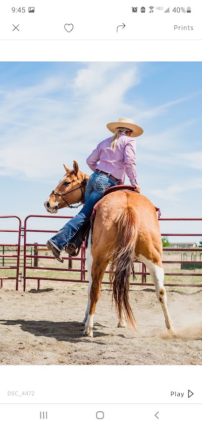 Lucia Clemetson Performance Horsemanship