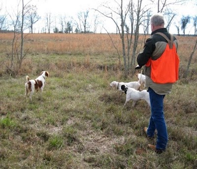 Dry Creek Ranch- Quail Hunting, Pheasant Hunting, Chukar Hunting And Red Stag Hunting In Louisiana