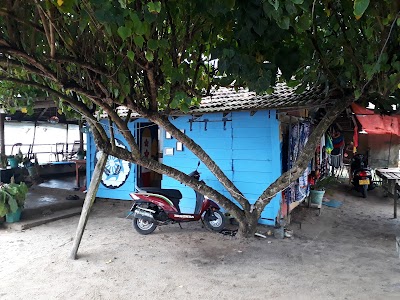 Photos of RDS Surf School