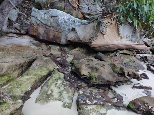 Wellings Reserve - Thumbnail