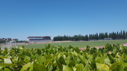 Stadio Montevidoni - Thumbnail