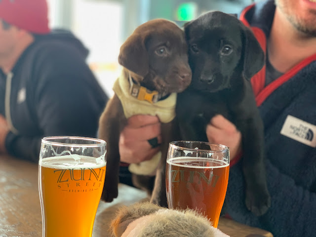 Zuni Street Brewing Company by null