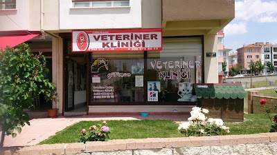 veterinary-care