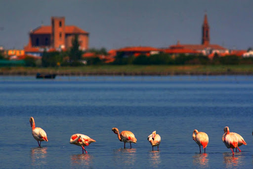Po Delta Tourism s.r.l.
