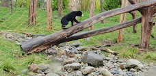 Chester Zoo