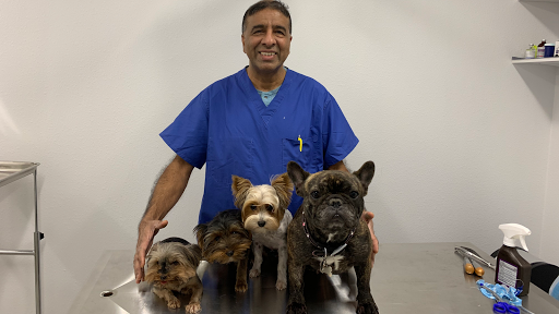 WellCare Pet Clinic - Thumbnail