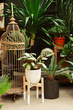 Outside Space Garden Center by null