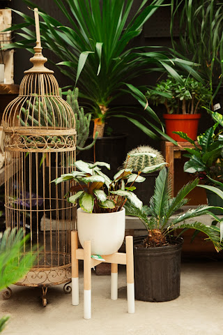 Outside Space Garden Center by null