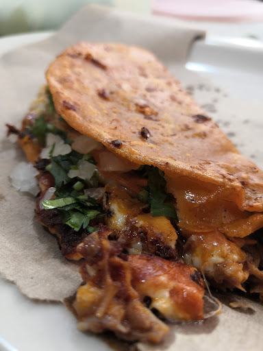 Los Taconcitos de Birria - Thumbnail
