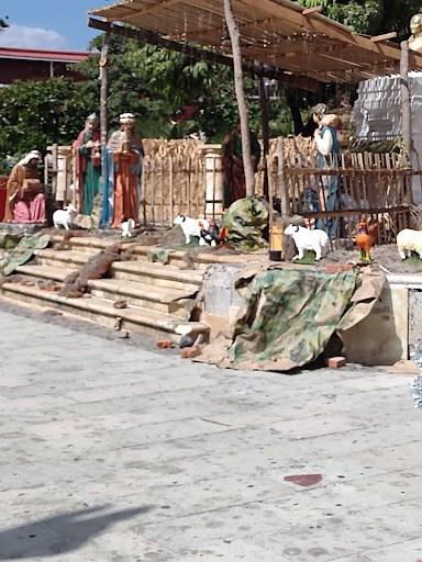 Centro Tehuantepec Garden - Thumbnail