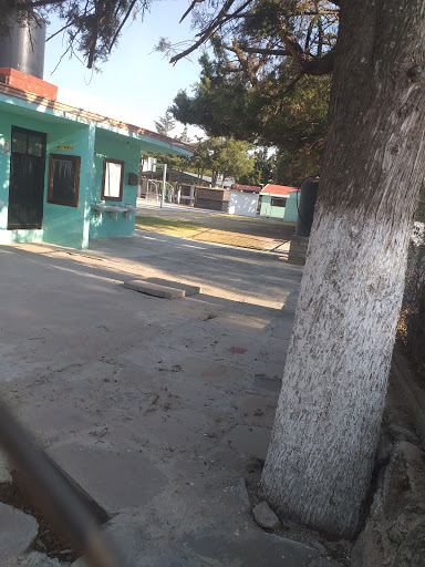 Escuela Primaria Estatal Alfredo Del Mazo Velez Logo