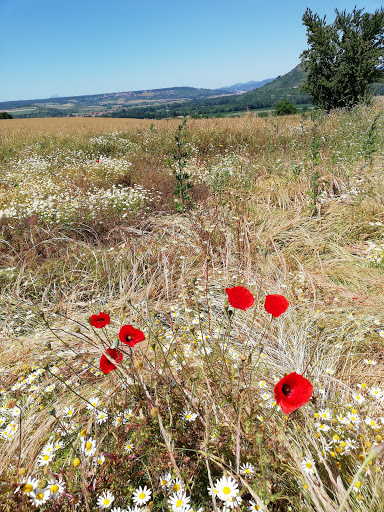 Town De Beaulieu - Thumbnail