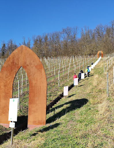 WEITBLICKWEG HOHENHASLACH - Thumbnail