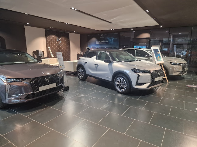 DS SALON AJACCIO