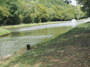 Photo n°23 de Hôtel restaurant la Manse à Dornecy (Restaurant)