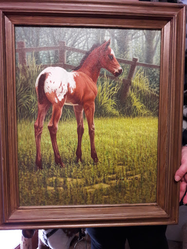 Bar D Ranch - Visual