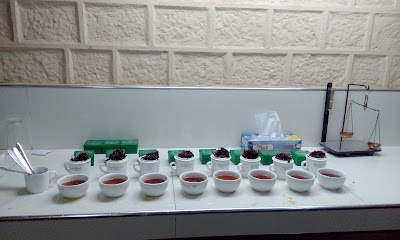 Photos of Noori Tea Factory