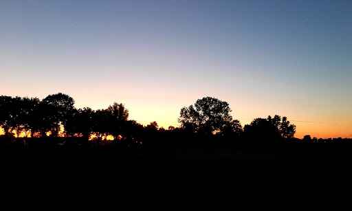 QualityView - Visual