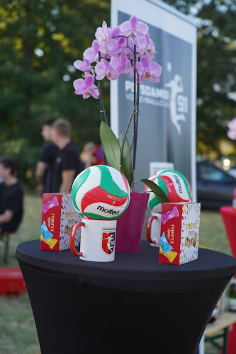 Potsdamer VC 91 e. V.