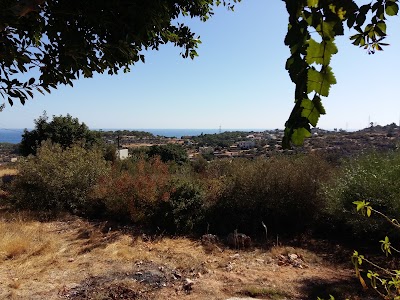 Photos of Y&ouml;r&uuml;k Kafeterya