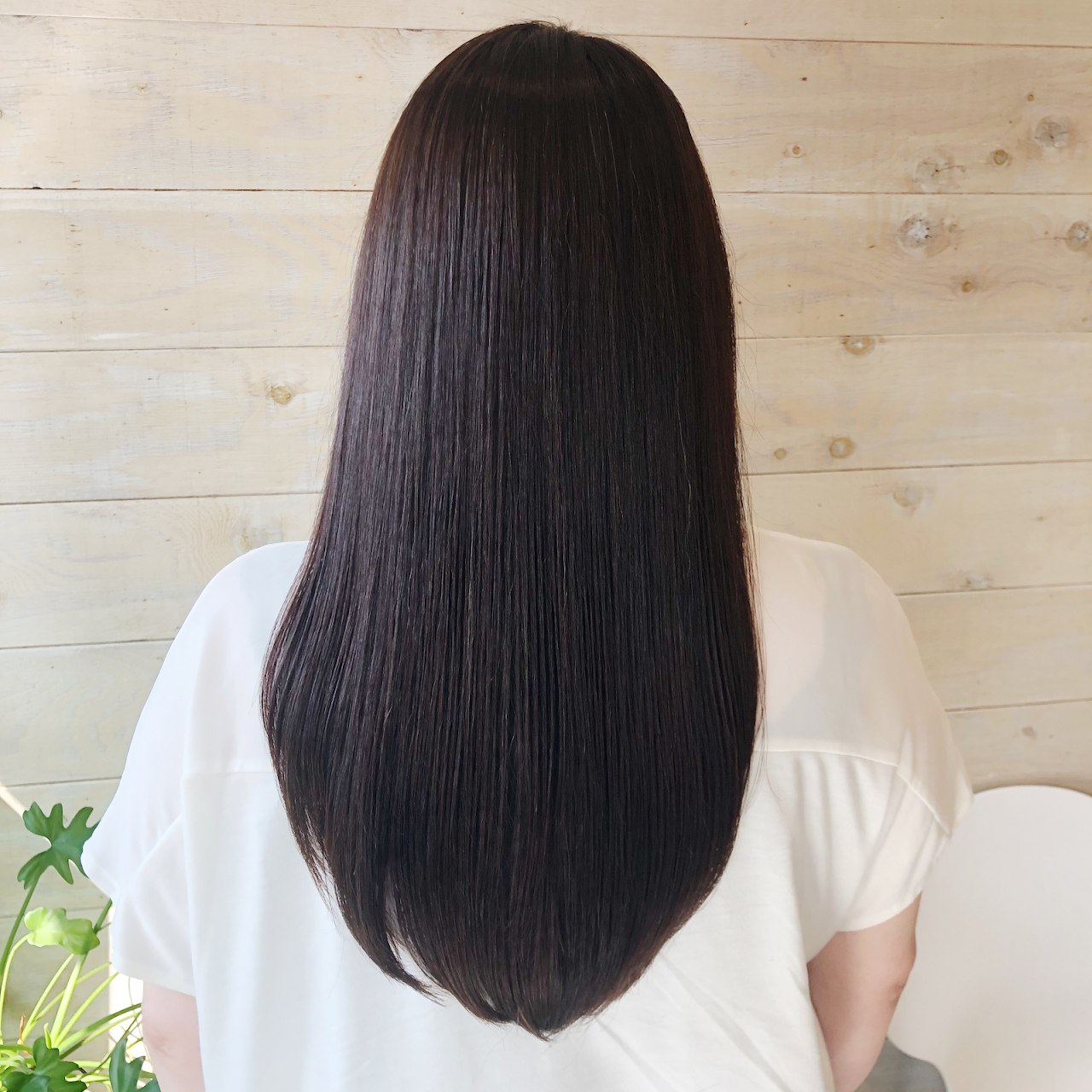 美容室 Links リンクス 札幌市西区琴似の美容院 美容室 縮毛矯正 ヘアカラー ヘッドスパ おすすめ 人気