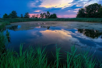 Terrapin Nature Park