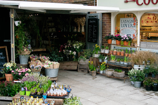 Foxglove studio
