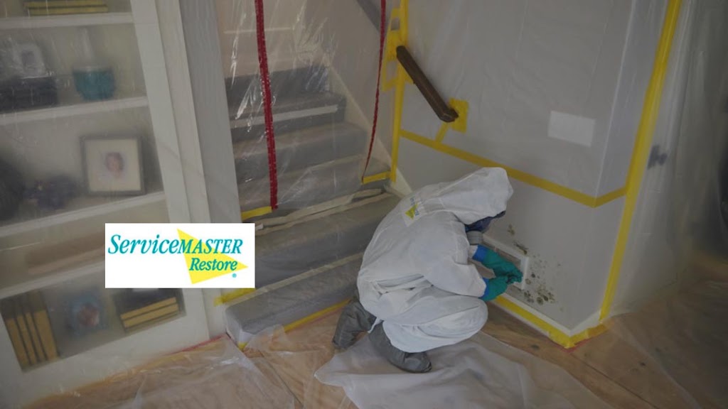 ServiceMaster Fire & Water Restoration by Rapid Response photo
