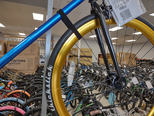 Action Bikes - Visual