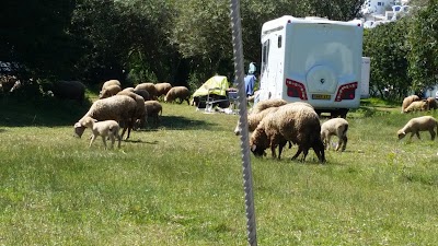 Photos of Camping Atlantis Gate A Moulay Bousselham