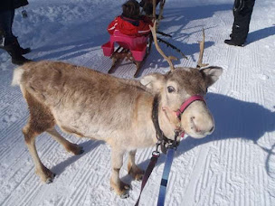 Photo n°5 de Pass' Montagne à Landry (Circuit de randonnée)