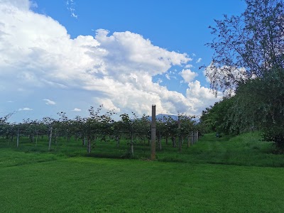 Azienda agricola Bonansea Guido