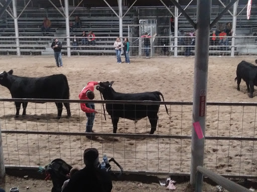 Jim Wells County Fair Association Gallery - United States