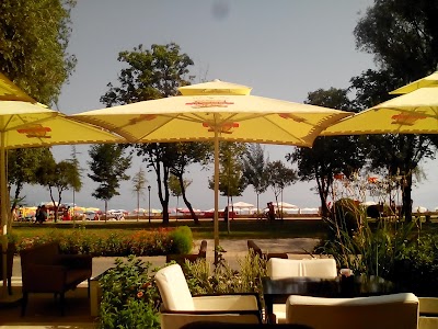 cafe