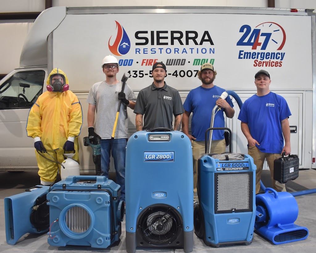 Sierra Restoration photo