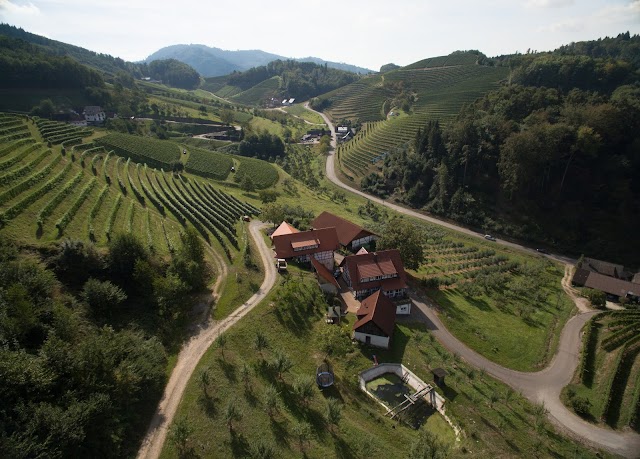 Schwarzwälder Waldhüttenzauber Baumhaushotel