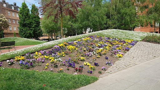 Moisés Carballo Abad Park - Thumbnail