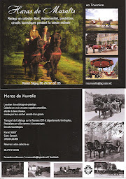 Photo n°31 de Le Haras De Muralis à Saint-Senoch (Éleveur de chevaux)