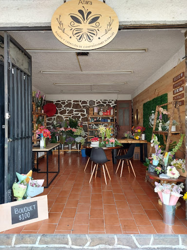Atara Gallery - Mexico