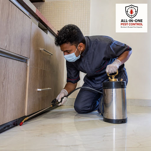 Tired of cockroaches in the kitchen or ants marching across your bedroom walls? All in One Pest C… post image