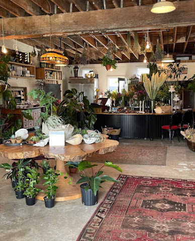 Colibri Flowers by null