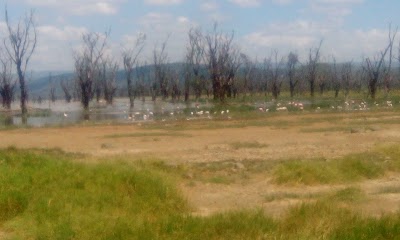 Photos of Menengai