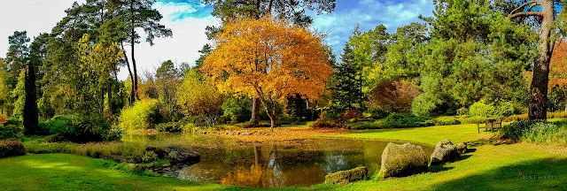 Arboretum des Grandes Bruyères