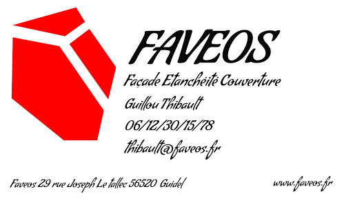 Faveos - Visual