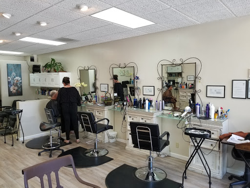 Hair We Go Again Studio Gallery - United States