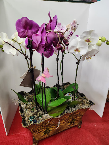 Murrieta City Florist Gallery - United States