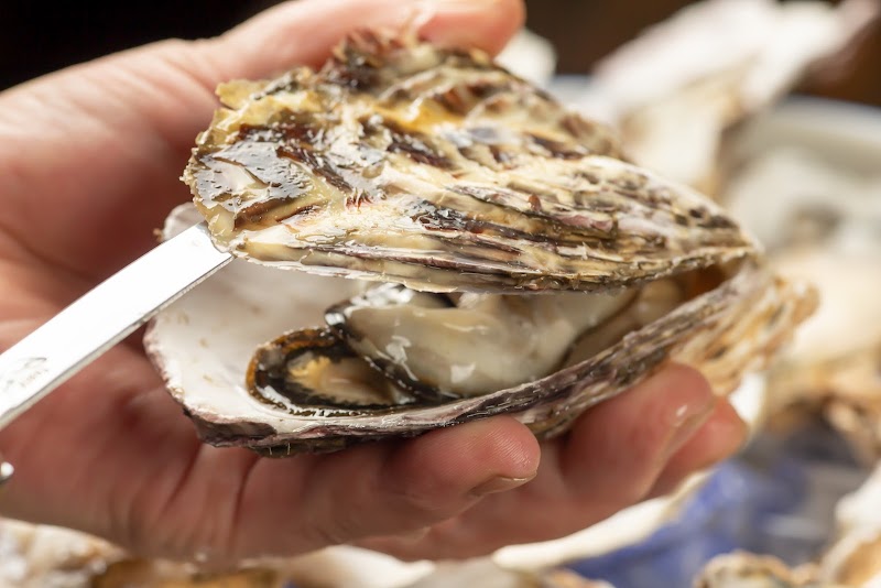 炭火焼肉×牡蠣海鮮 牡蠣よし