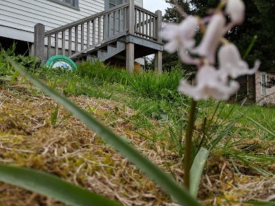 Knappton Cove Heritage Center